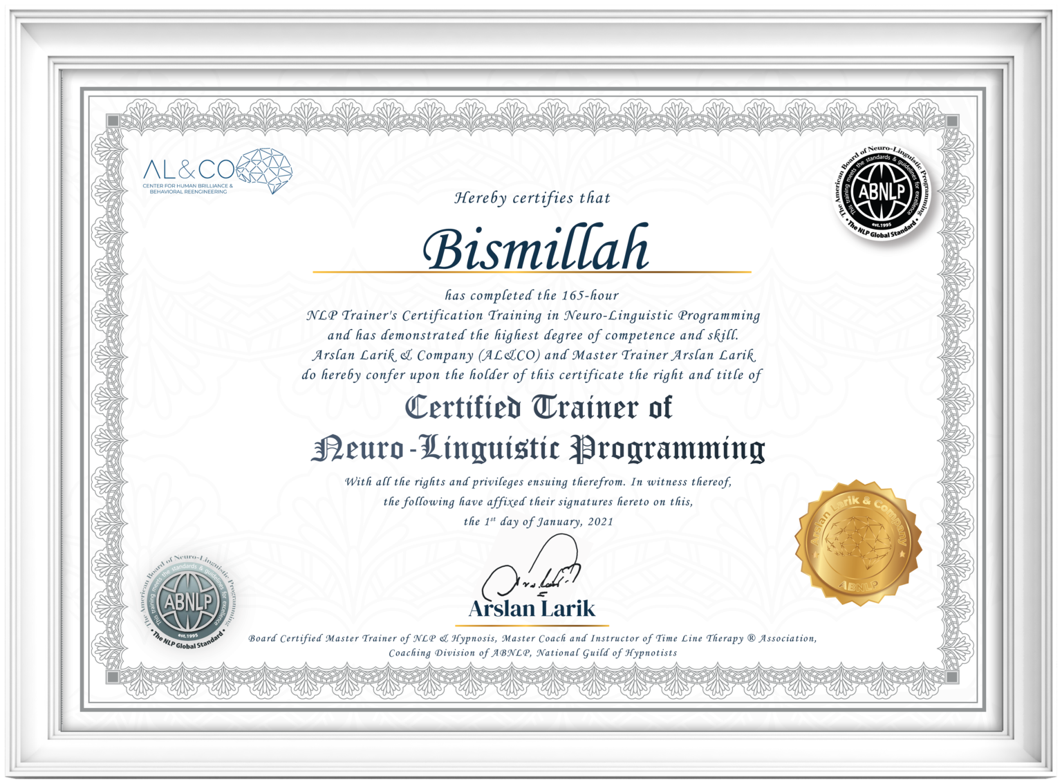 Nlp Trainer S Training Program Arslanlarik